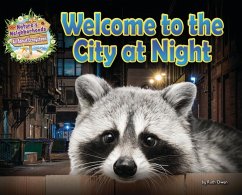 Welcome to the City at Night - Owen, Ruth