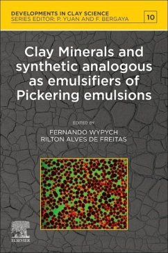 Clay Minerals and Synthetic Analogous as Emulsifiers of Pickering Emulsions