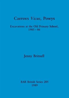 Caersws Vicus, Powys - Britnell, Jenny