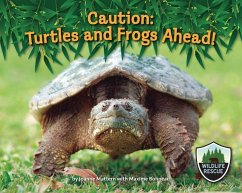 Caution: Turtles and Frogs Ahead! - Mattern, Joanne