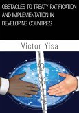 Obstacles to Treaty Ratification and Implementation in Developing Countries