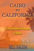 Cairo to California: From Visualization to Realization