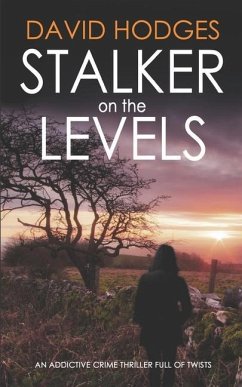 STALKER ON THE LEVELS an addictive crime thriller full of twists - Hodges, David