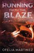 Running from the Blaze - Bild 1