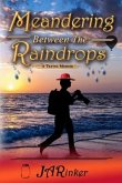 Meandering Between The Raindrops: A Travel Memoir