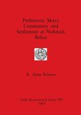 Prehistoric Maya Community and Settlement at Nohmul, Belize