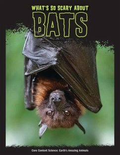 What's So Scary about Bats? - Mattern, Joanne