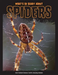 What's So Scary about Spiders? - Mattern, Joanne