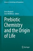 Prebiotic Chemistry and the Origin of Life (eBook, PDF)