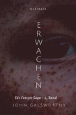 Erwachen (eBook, ePUB)