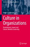 Culture in Organizations (eBook, PDF)