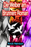 Die Weiber am Brunnen: Roman (eBook, ePUB)