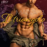 Desiderio 5: Il triangolo - racconto erotico (MP3-Download)