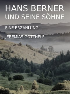 Hans Berner und seine Söhne (eBook, ePUB)