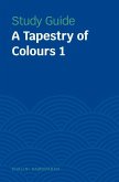 Study Guides: A Tapestry of Colours 1