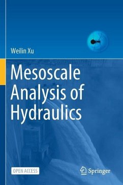 Mesoscale Analysis of Hydraulics - Xu, Weilin