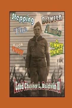 Stepping Between The Ants: Book THREE: A Summer To Remember - Baldwin, Lord Chester L.