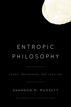 Entropic Philosophy (eBook, ePUB) - Mussett, Shannon M.