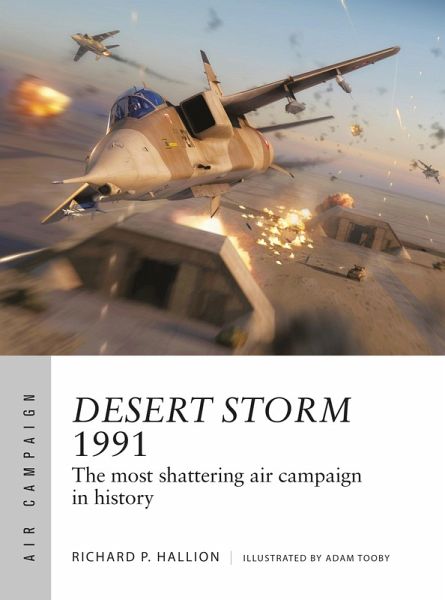 Desert Storm 1991 (eBook, PDF)