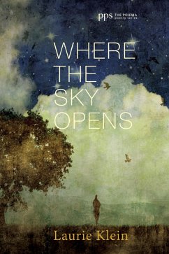 Where the Sky Opens (eBook, ePUB)