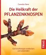 Die Heilkraft der Pflanzenknospen... - Bild 1