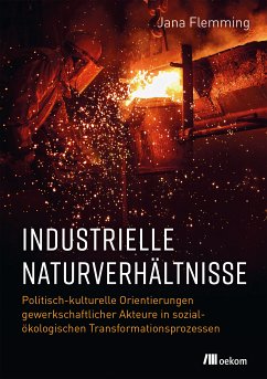 Industrielle Naturverhältnisse (eBook, PDF) - Flemming, Jana