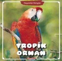 Tropik Orman - Hayvanlar Dünyasi - Kolektif