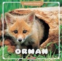 Orman - Hayvanlar Dünyasi - Kolektif