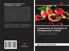 Comparison of Varieties of Pomegranate Criollas - Yáñez Muñoz, Rosa María