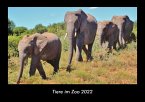 Tiere im Zoo 2022 Fotokalender DIN A3