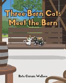 Three Barn Cats Meet the Barn