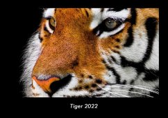 Tiger 2022 Fotokalender DIN A3 - Tobias Becker