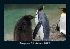 Pinguine & Eisbären 2022 Fotokalender DIN A5 - Tobias Becker