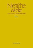 Nietzsche Werke, Band 13, Aufzeichnungen aus den Archivmappen Mp XVII und Mp XVIII sowie verstreute Aufzeichnungen