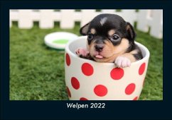 Welpen 2022 Fotokalender DIN A5 - Tobias Becker