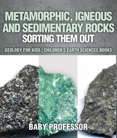 Metamorphic, Igneous and Sedimentary Rocks : Sorting Them Out - Geology for Kids   Children's Earth Sciences Books (eBook, ePUB) - Baby