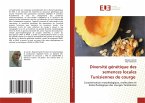 Diversité génétique des semences locales Tunisiennes de courge
