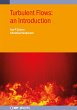 Turbulent Flows: an Introduction... - Bild 1
