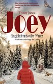 Joey Ein geheimnisvoller Winter (eBook, ePUB)