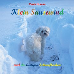 Klein Sausewind (eBook, ePUB)