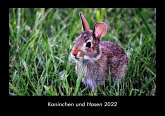 Kaninchen und Hasen 2022 Fotokalender DIN A3
