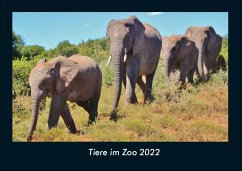 Tiere im Zoo 2022 Fotokalender DIN A4 - Tobias Becker