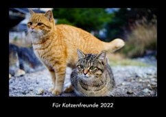 Für Katzenfreunde 2022 Fotokalender DIN A3 - Tobias Becker