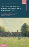 The Theory, Practice, and Interpretation of Customary International Law