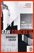 Raw Concrete - Bild 1