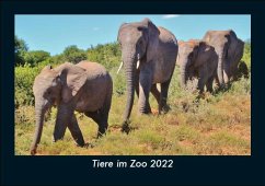 Tiere im Zoo 2022 Fotokalender DIN A5 - Tobias Becker