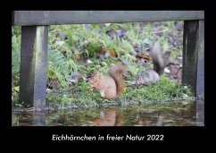 Eichhörnchen in freier Natur 2022 Fotokalender DIN A3 - Tobias Becker