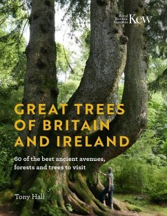 Great Trees of Britain and Ireland: 60 of the Best Ancient Avenues, Forests and Trees to Visit - Hall, Tony