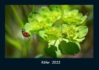 Käfer 2022 Fotokalender DIN A4