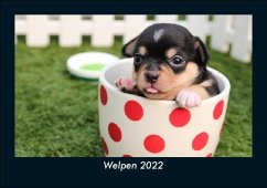 Welpen 2022 Fotokalender DIN A5 - Tobias Becker